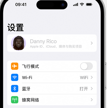 桐乡appleID维修服务iPhone设置中Apple ID显示为灰色无法使用 