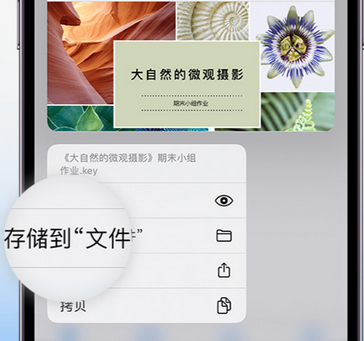 桐乡apple维修中心分享iPhone文件应用中存储和找到下载文件