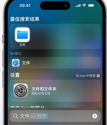 桐乡apple维修中心分享iPhone文件应用中存储和找到下载文件 