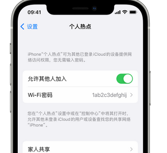 桐乡apple服务站点分享iPhone上个人热点丢失了怎么办 