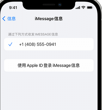 桐乡apple维修iPhone上无法正常发送iMessage信息 