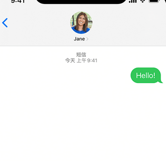 桐乡apple维修iPhone上无法正常发送iMessage信息