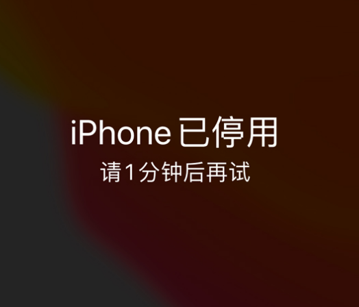 桐乡苹果手机维修分享:iPhone 显示“不可用”或“已停用”怎么办？还能保留数据吗？ 