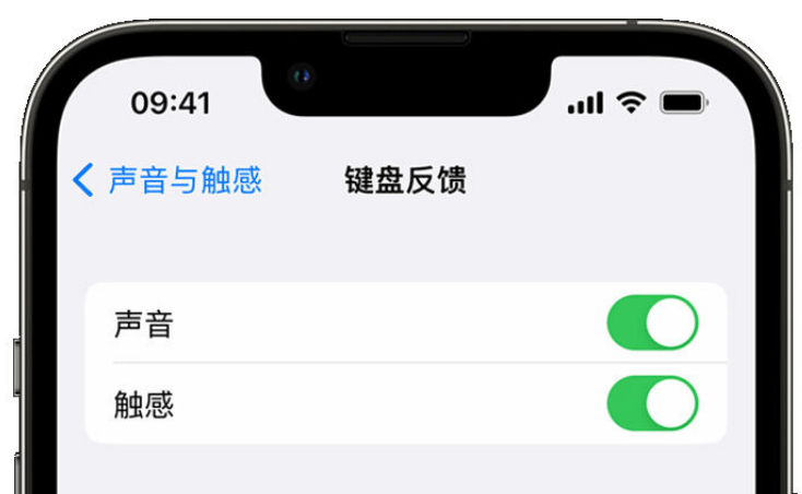 桐乡苹果手机维修分享iPhone 14触感键盘使用方法 