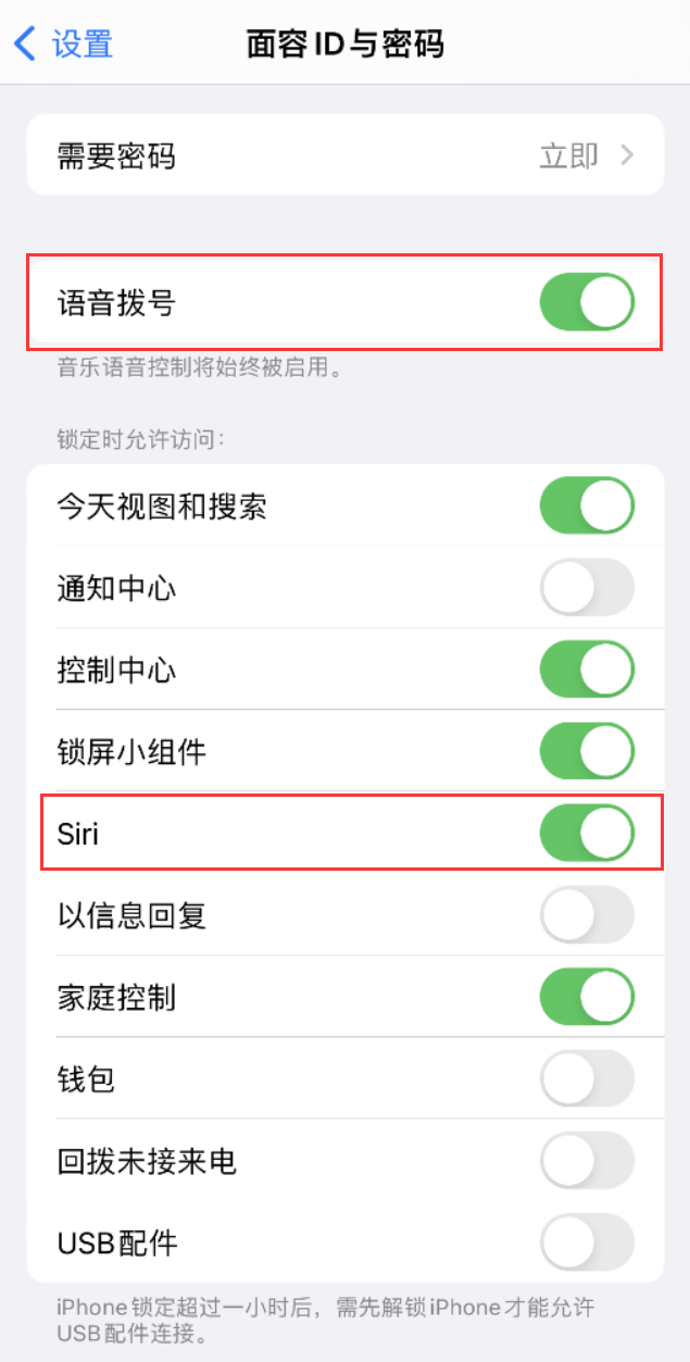 桐乡苹果维修网点分享不解锁 iPhone 的情况下通过 Siri 拨打电话的方法 