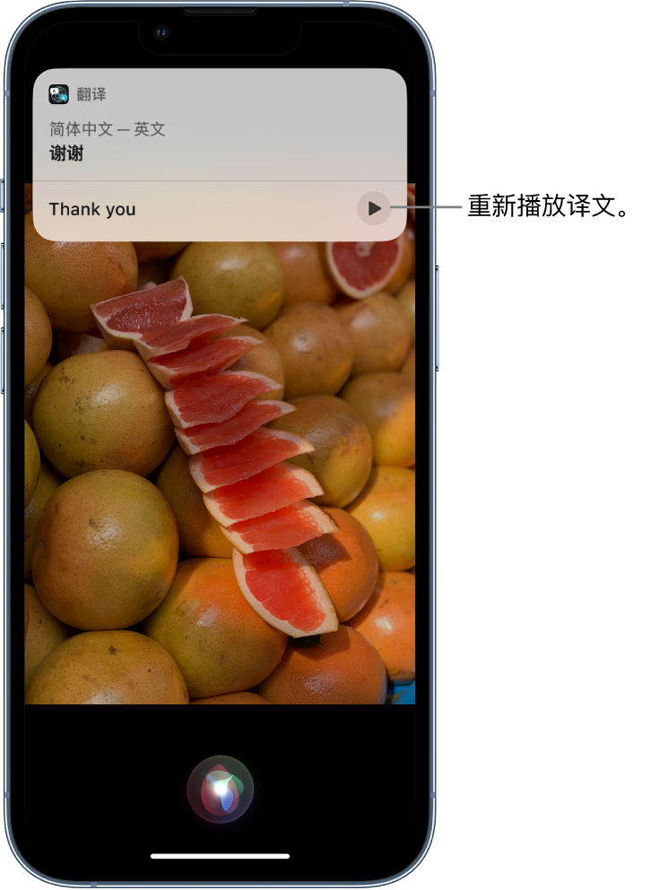 桐乡苹果14维修分享 iPhone 14 机型中使用 Siri：了解 Siri 能帮你做什么 