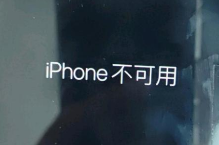 桐乡苹果服务网点分享锁屏界面显示“iPhone 不可用”如何解决 